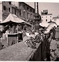 The piccions piazza al Santo Foto di Vittorio Tosato (Piero Melloni)